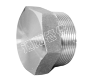 Hexagonal Head Plug