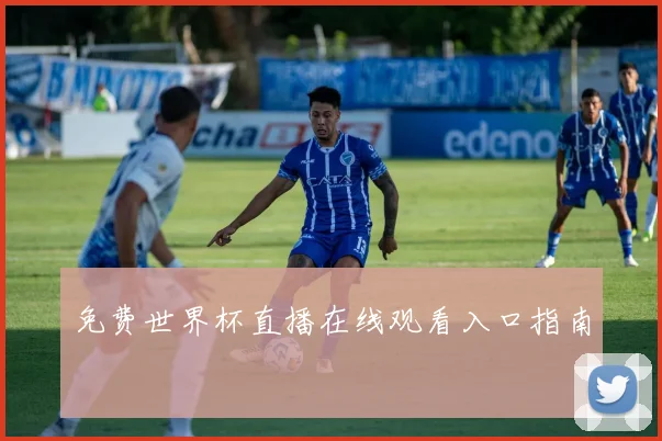 免费世界杯直播在线观看入口指南