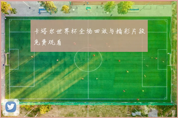 卡塔尔世界杯全场回放与精彩片段免费观看