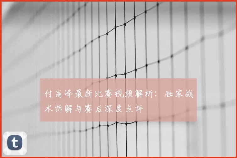 付高峰最新比赛视频解析:独家战术拆解与赛后深度点评