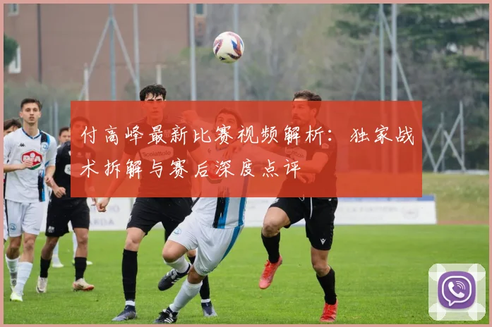 付高峰最新比赛视频解析:独家战术拆解与赛后深度点评